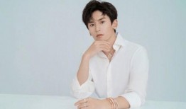 =明星明星公开道歉,真诚反思与公众形象的重建